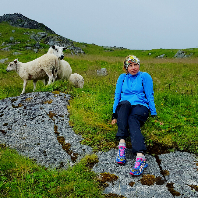 Myyntipäivä HAUKIVILLA 10.9.2016