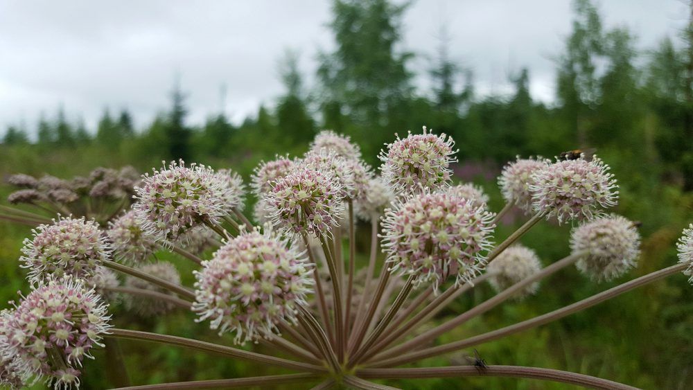 värit, värin tarkoitus, Результаты поиска Näin vaatteidesi värit vaikuttavat