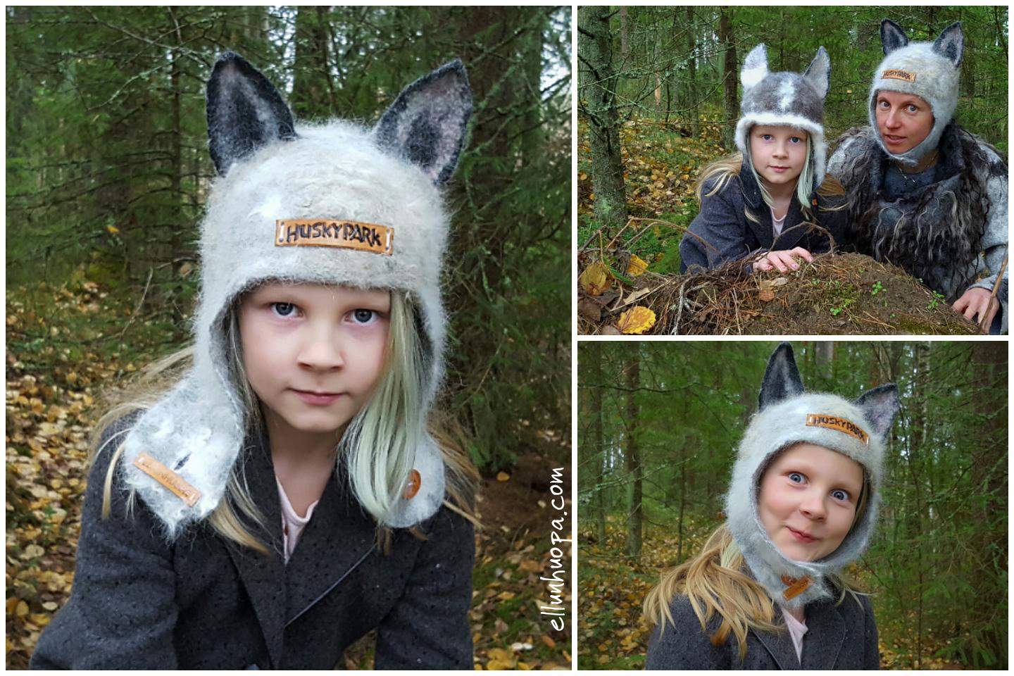 Huovuttaminen hevosen-, kanin- ja koirankarvoista