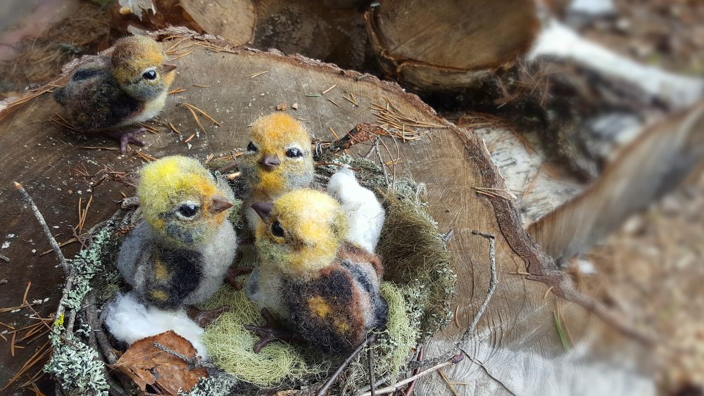 Mistä linnut laulaa?